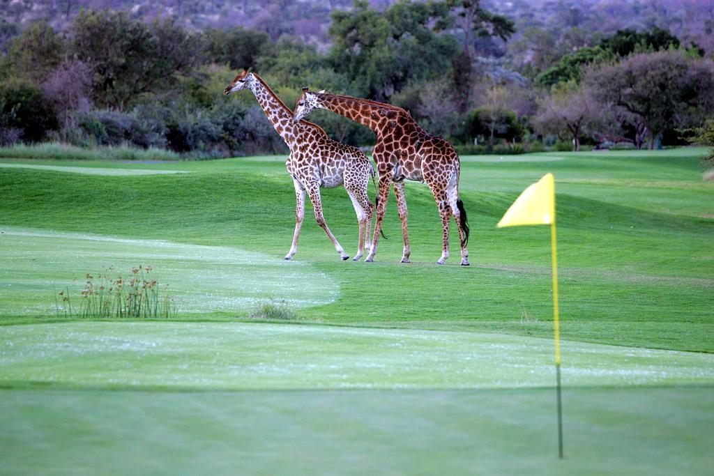 Royal Game Guest House ファラボルワ エクステリア 写真